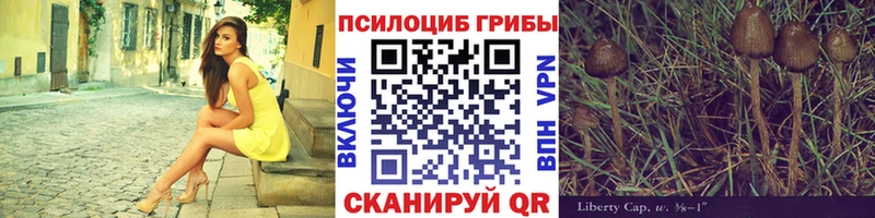 сайты даркнета наркотические препараты  МЕГА ONION  Каргат  где можно купить   Галлюциногенные грибы мицелий 